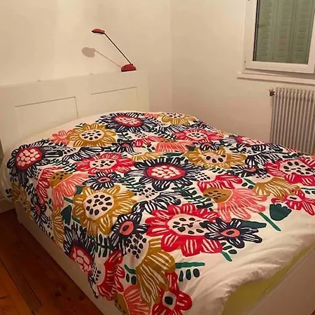 Appartement Lumineux Vue Montagne Centre Grenoble Pour Ski Ou Randonnees Exterior foto